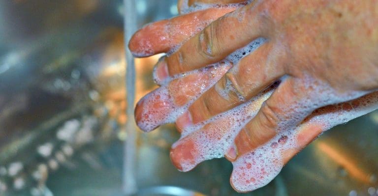 Close-up of hands being washed with soap